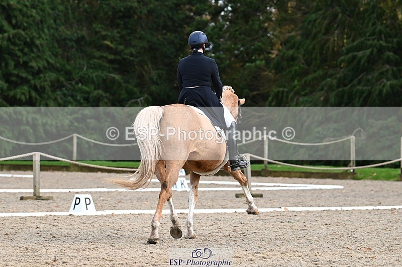 231110-153026-02224 - Cls 11 FEI PSG