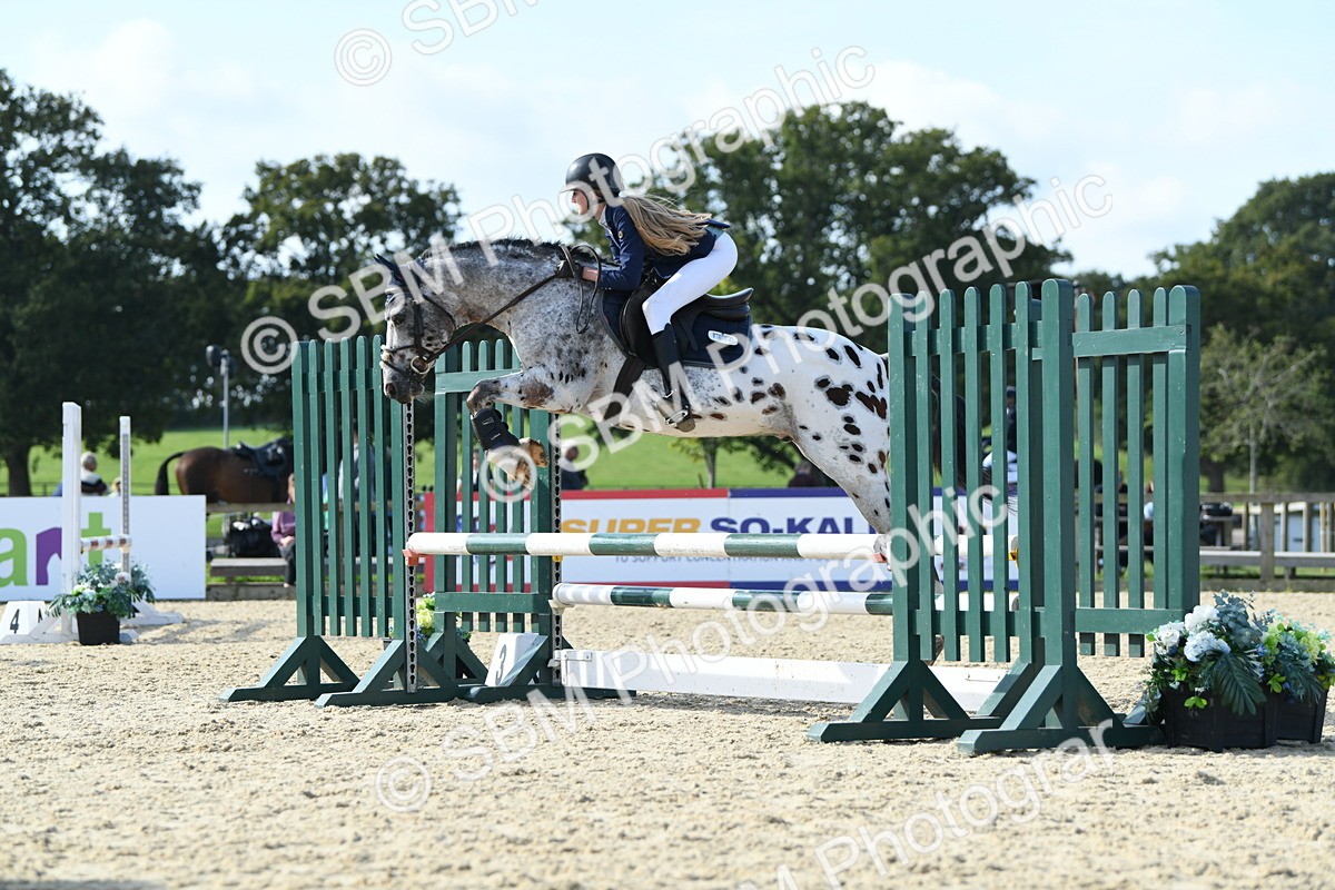 SBM_60730 - j25 - Junior Horse 80cm Championship