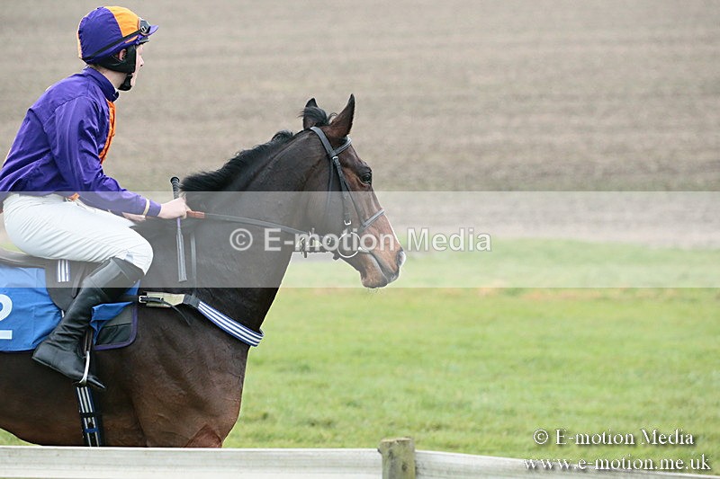 PtP 251118-195 - Vine & Craven Point-to Point Barbury Racecourse 25/11/18