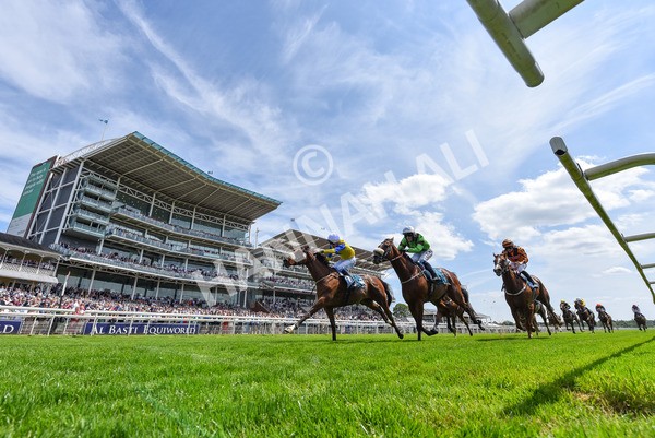 130625-Race 1-Feel The Need-4277 - Race 1 1.50pm Andy Thornton Hospitality Furniture Apprentice Handicap