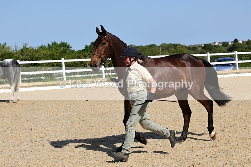 1X9A0786 - Class 4: Youngstock 1, 2, 3 year old to exceed 153cm