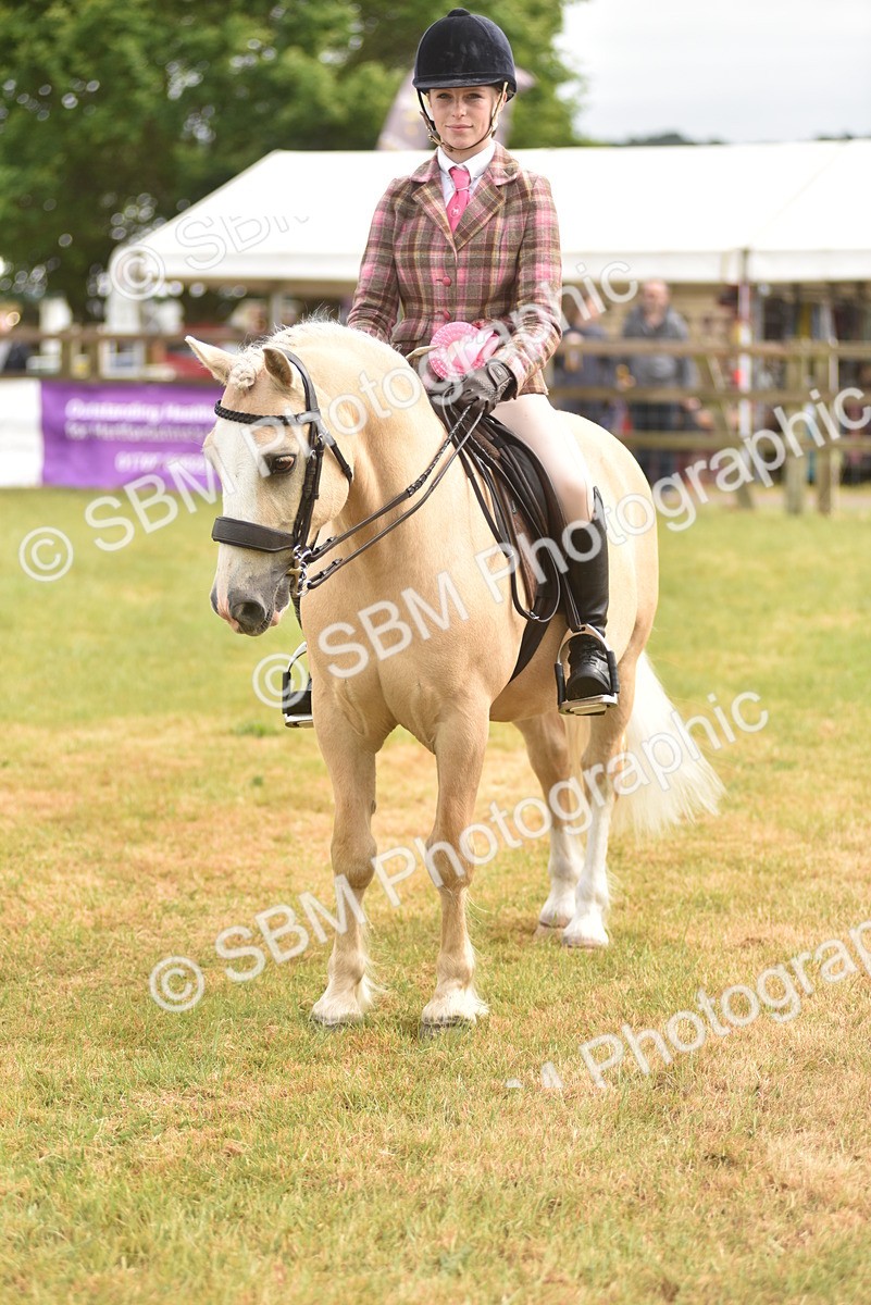 SBM_12076 - Class 110-112 - LIHS BSPS Performance Pones