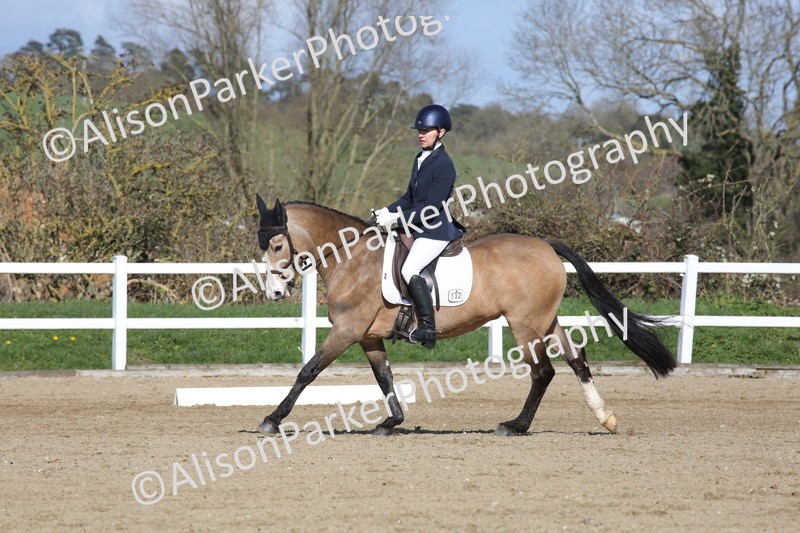 20260314-4265 - DR5 - Novice 1