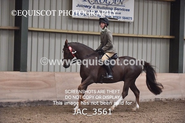 JAC_3561 - CLASS 9 BHS Scotland Riding Club Working Hunter Qualifier
