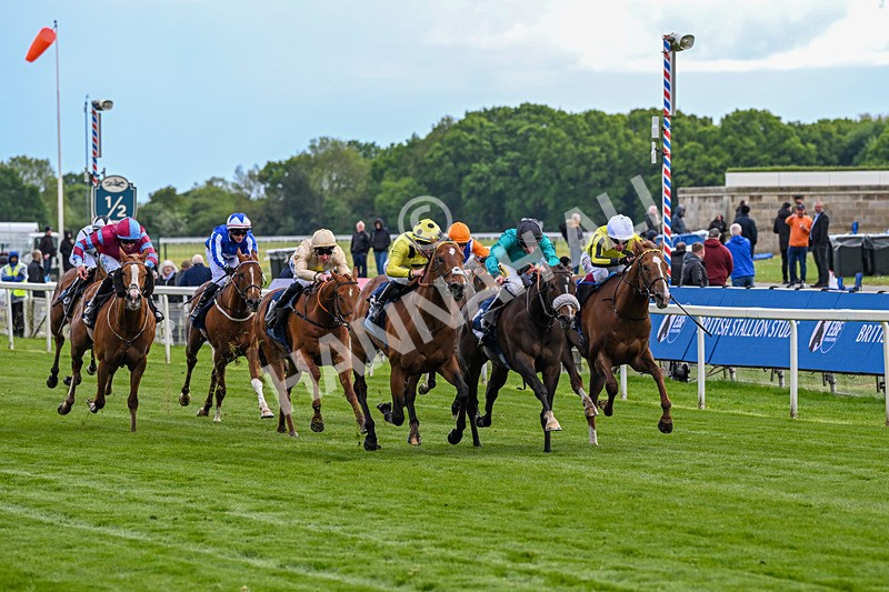 140526-Race 6-Dickensian-5785 - Race 6 4.40pm British Stallion Studs EBF Westow Stakes