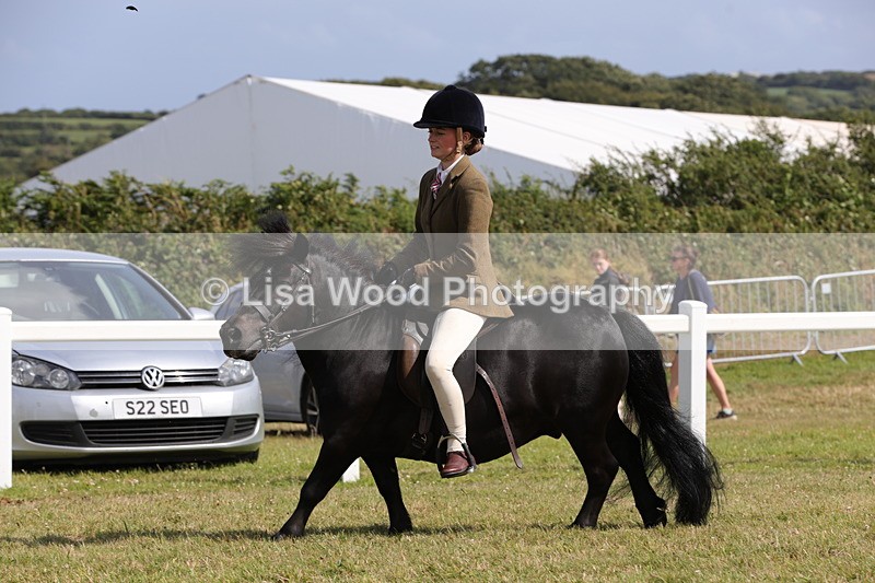 1X9A5603 - Class 39: NPS Dartmoor, Exmoor, Shetland