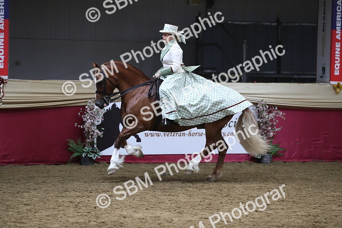 SBM_12029 - Class 106 Ridden Costume- Astride Adult (15-19)