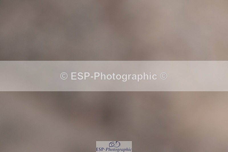 240622A-144900-18800 - Cls 35 BD Adv Medium 91