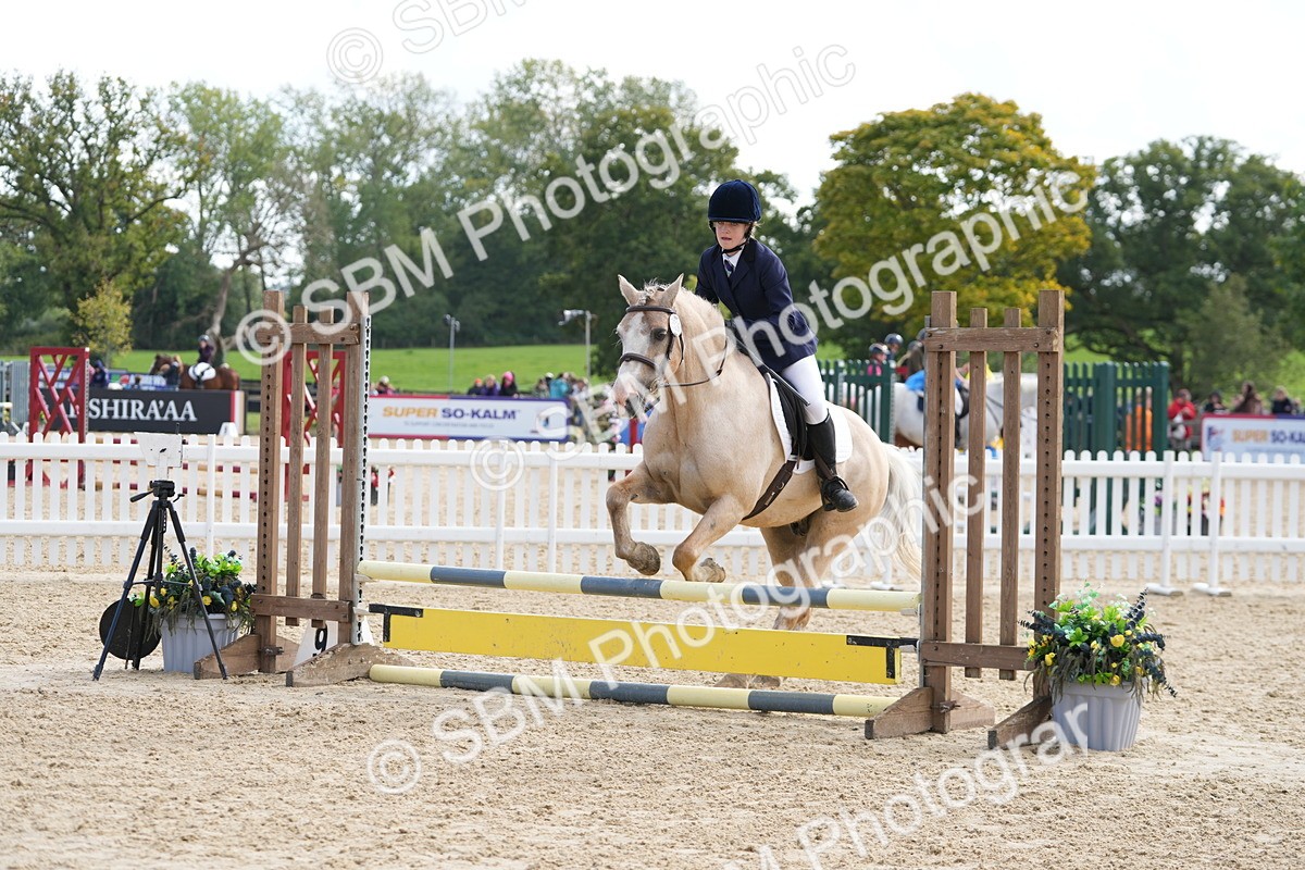 SBM_48506 - J7 - Junior Pony 60cm Championship