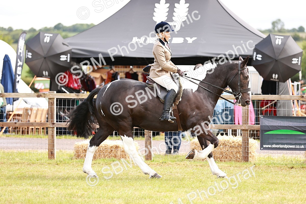 SBM_13090 - Class 85-87 - RIHS Cobs