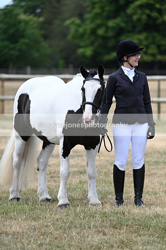 WJ7_1513 - Class 4 Prettiest Mare up to 14.2hh in hand