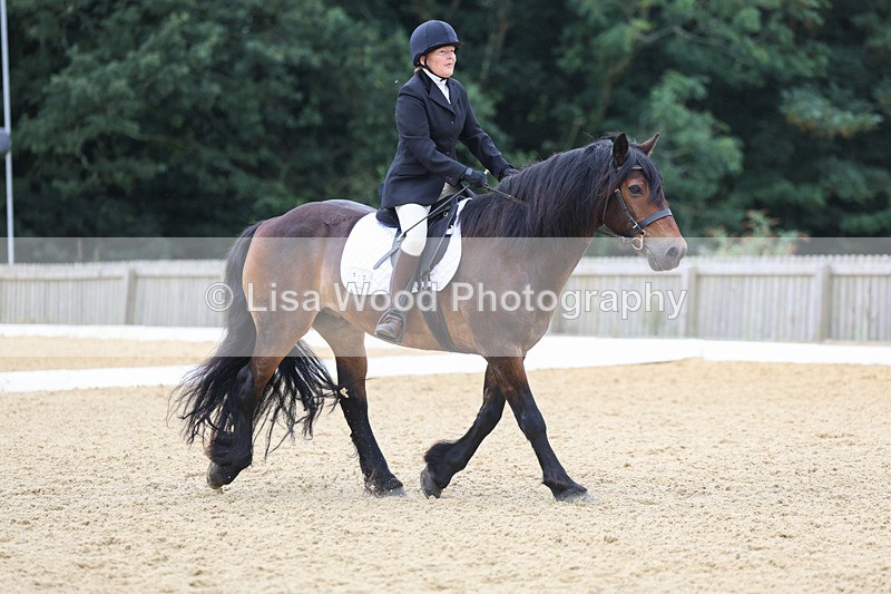 3E7A4718 - Class 1: Intro 4 2024 section A