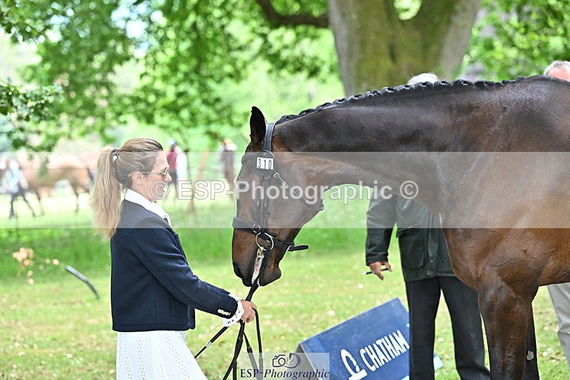 250521A-152407-00484 - B-310-Kitty.King-LISCARROW.FERNHILL