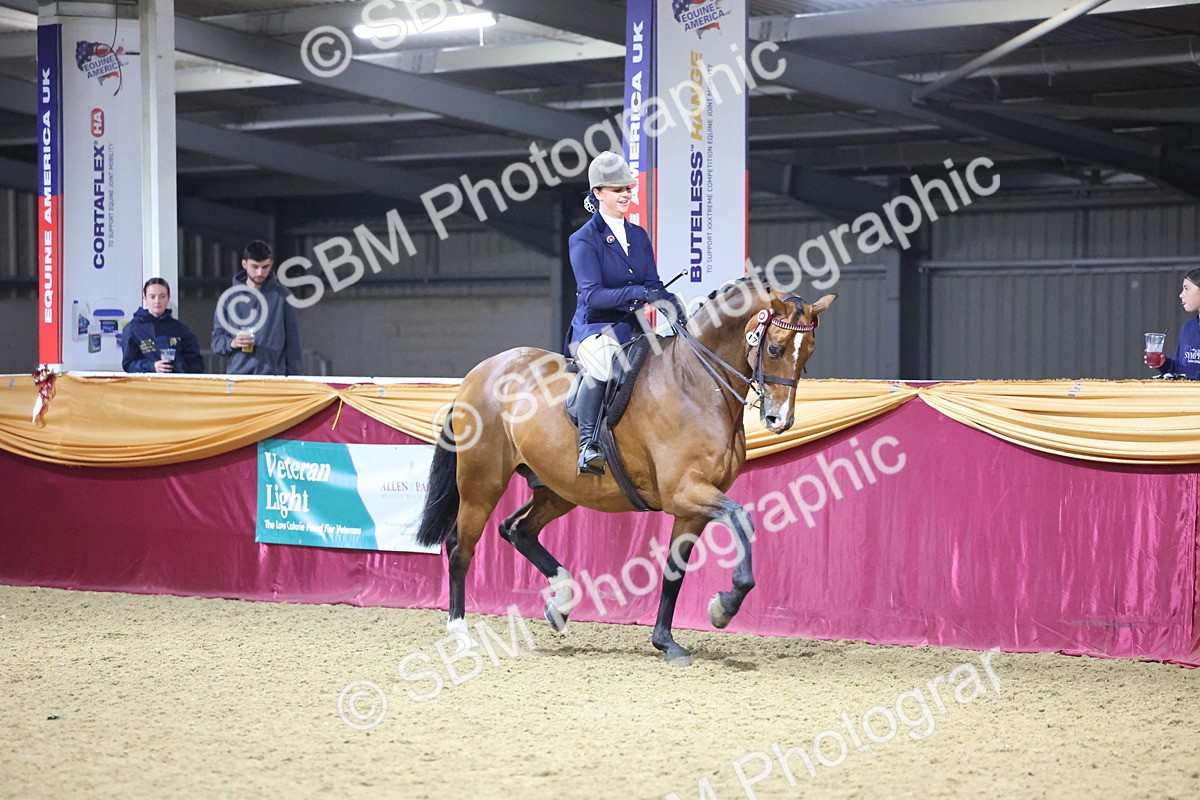0B8A4459 - Class O Ridden Show Horse Champ