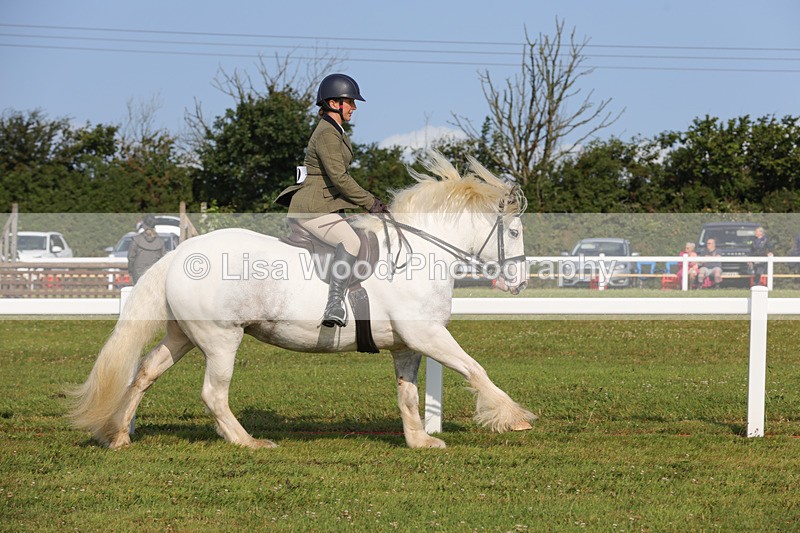 1X9A3247 - Class 28: Ridden Native/Trad Coloured Pony
