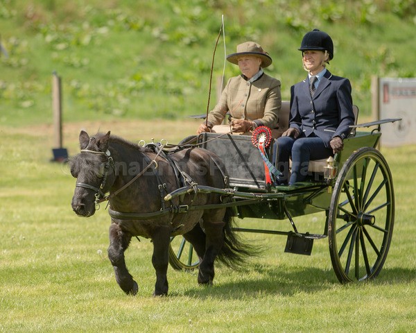 Attelage -855 - CIAT Glamis 2026