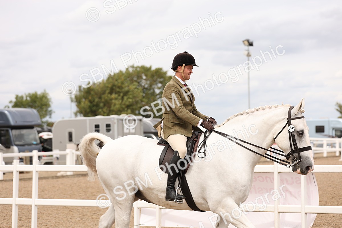 SBM_17174 - Class 213 - Ridden Hunter - Large