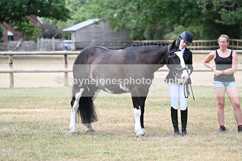 WJ7_1850 - Class 4a Prettiest Mare 14.2hh and over hand
