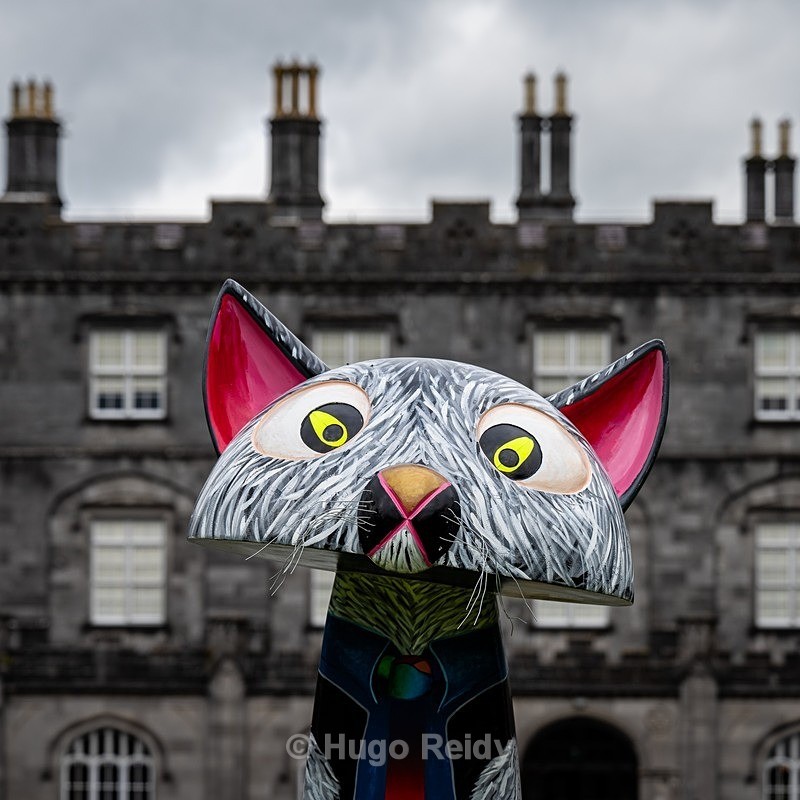  - Kilkenny Catwalk