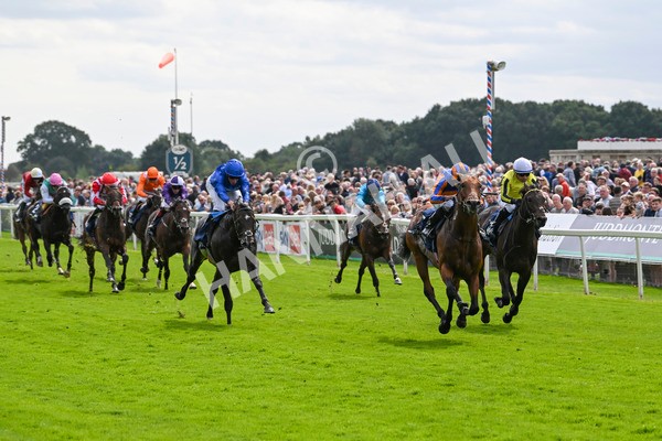 210824-Race 2-The Lion In Winter-4728 - Race 2 2.25pm Tattersalls Acomb Stakes