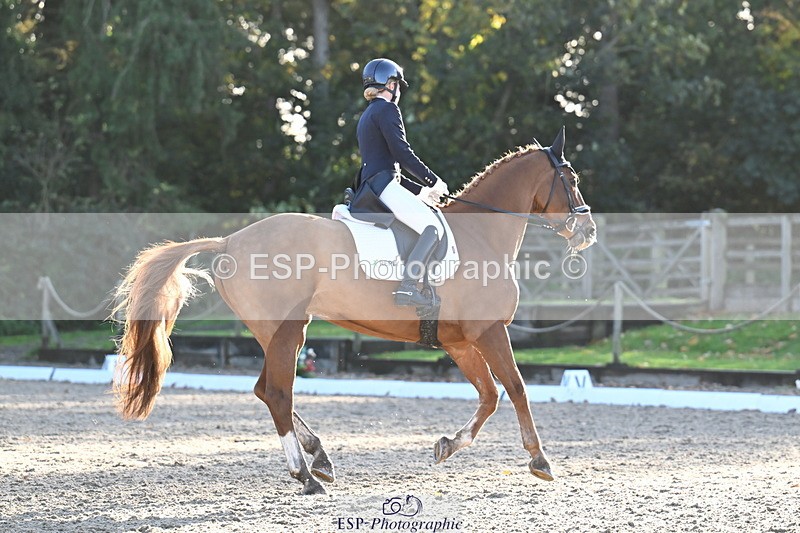 251023A-162457-06068 - B-170-Mollie.Summerland