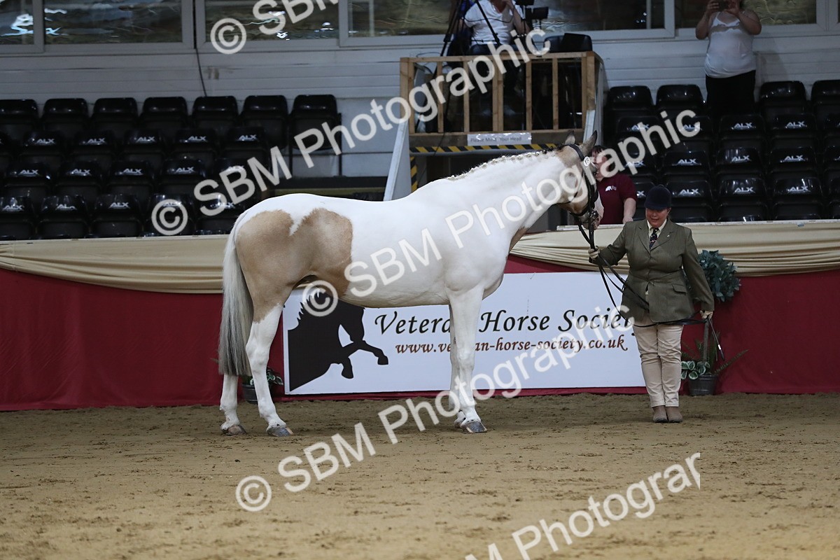 SBM_06233 - Class 9R Regional- IH Pre Vet