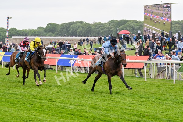 150525-Merchant-5323 - Race 7 5.25pm Haxby Handicap