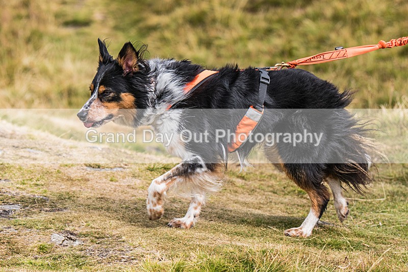 Lowther-746 - Lowther Lakeland Fell & Trail Race Sunday 9th August 2026