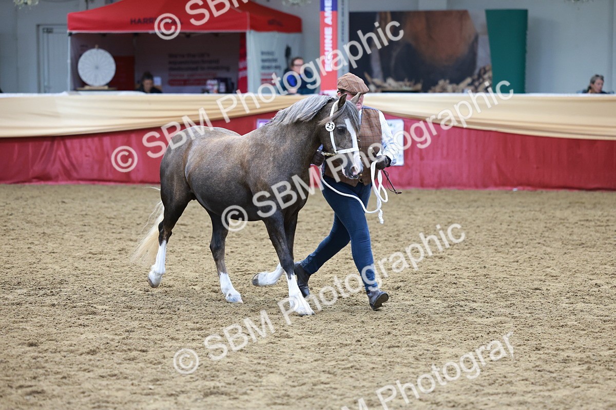 SBM_17456 - Class 951 - M&M IH Supreme Final