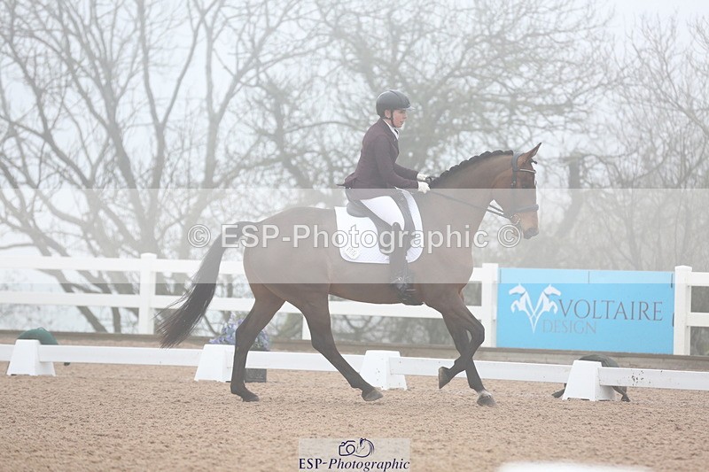 240217A-094346-00811 - 114-kelly.jewell-Juno.Watt