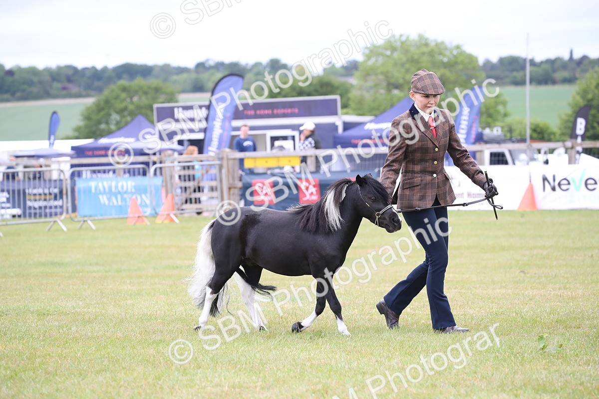 SBM_03783 - Class 23-25 - British Miniature Horse of the Year