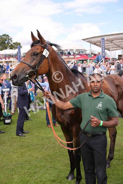 yr19082022r2-64 - Race 2 2.25pm Weatherbys Hamilton Lonsdale Cup (British Champions Series Race)