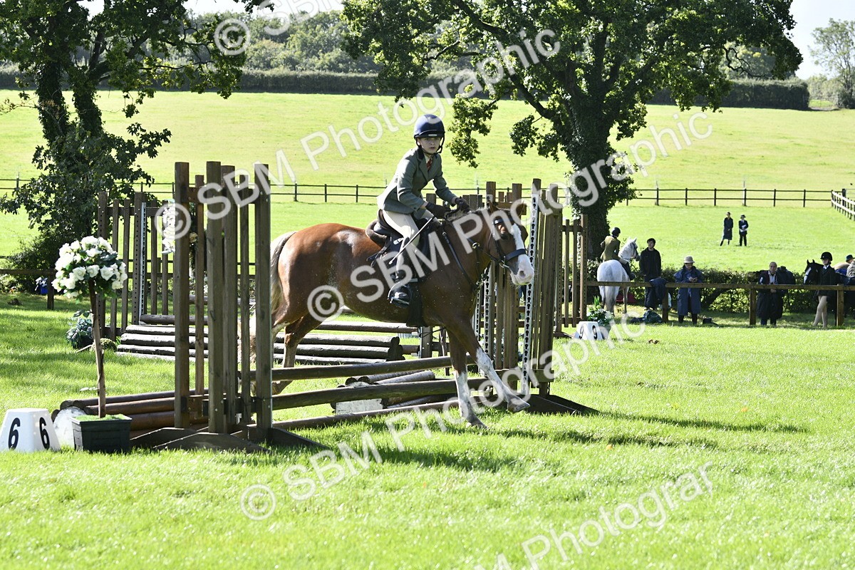 SBM_38211 - S31 - Novice & Newcomer Working Hunter Pony