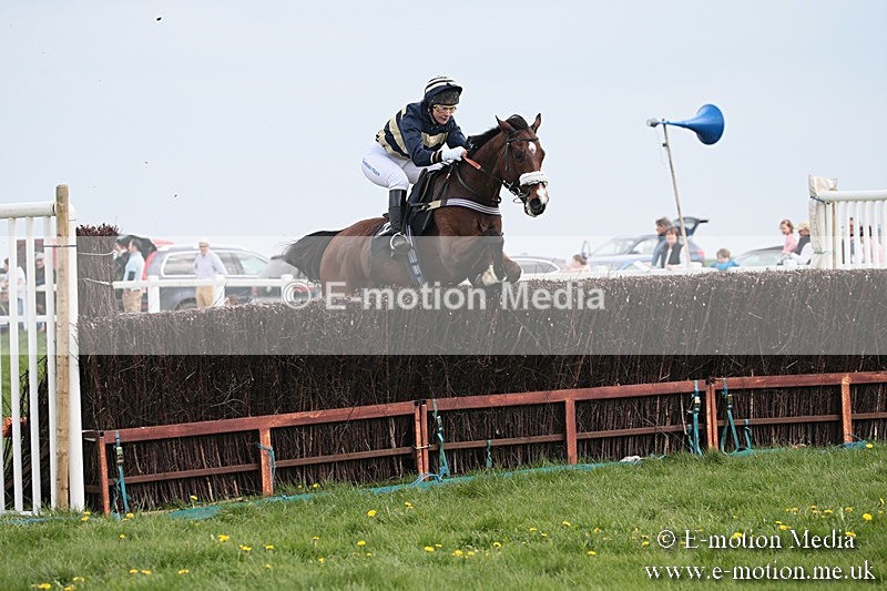 PtP 210418 185 - South & West Wilts Point-to-Point Larkhill 21/04/18
