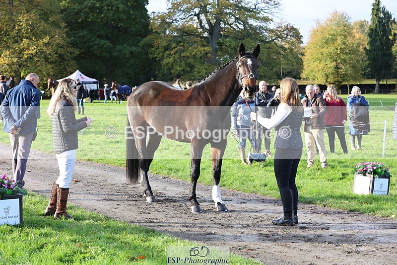 251026A-095405-22566 - D-350-Katie.Timberlake