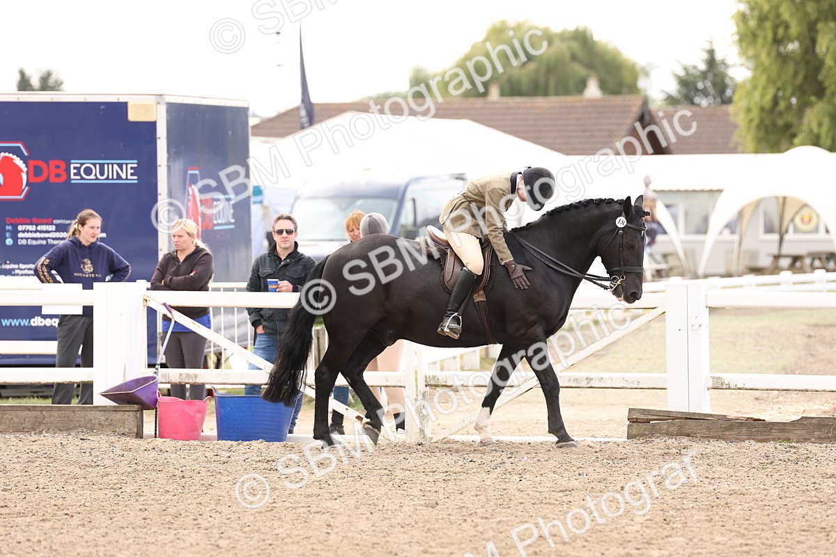 SBM_04227 - Class 54 - Riding Club Horse/Pony
