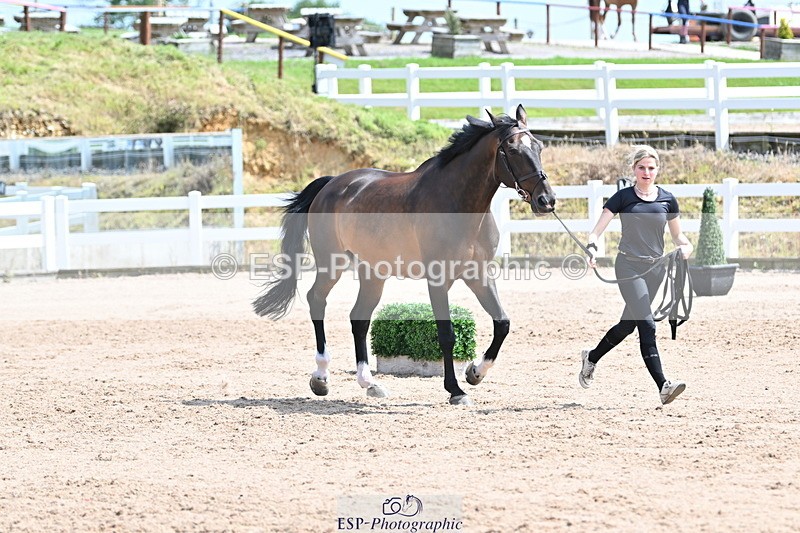 240717A-145236-02358 - Trot Up 2pm to 3pm - This folder is not in time order