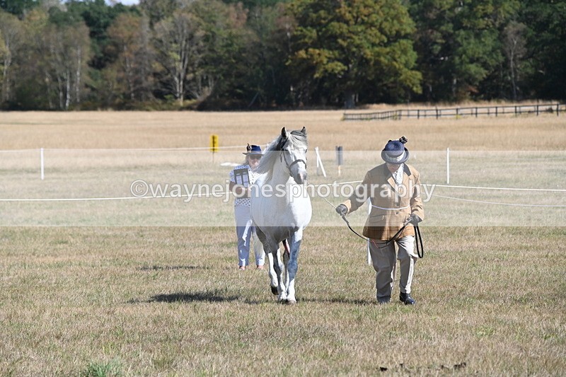 WJ6_4623 - Class 17 Mountain & Moorland