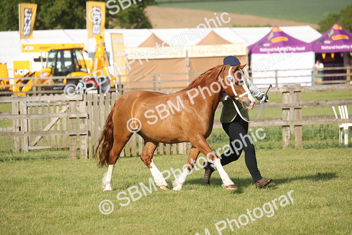 SBM_10489 - Class 33-38 - SSADL RIHS Qualifiers