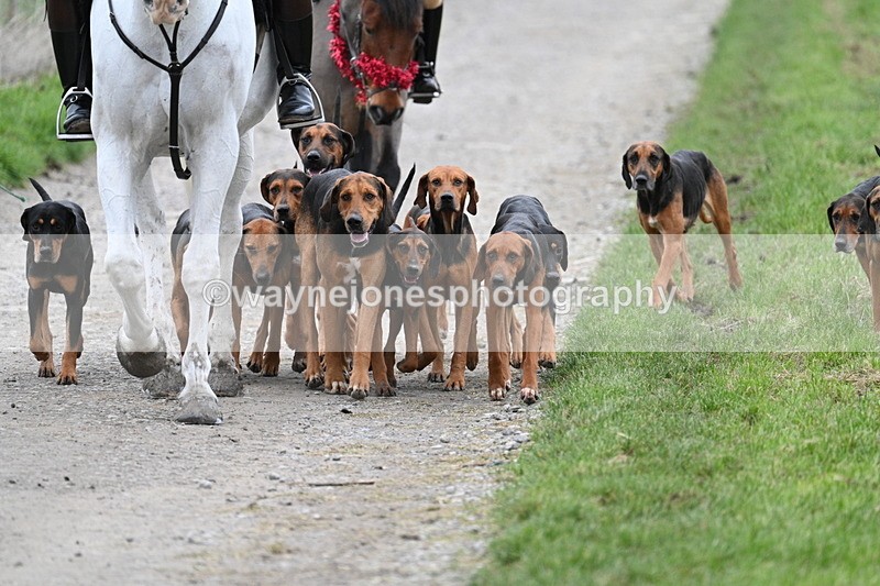 WJ7_1201 - Walk Home