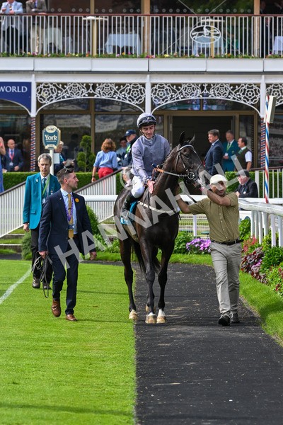 160524-Race 6-Andesite-6737 - Race 6 4.45pm Frank Whittle Partnership ebfstallions.com Novice Stakes