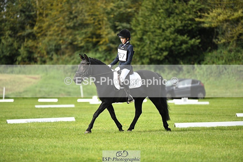 230826-094751-15239_Sections A and B  9 to 10am - 077-955-7552