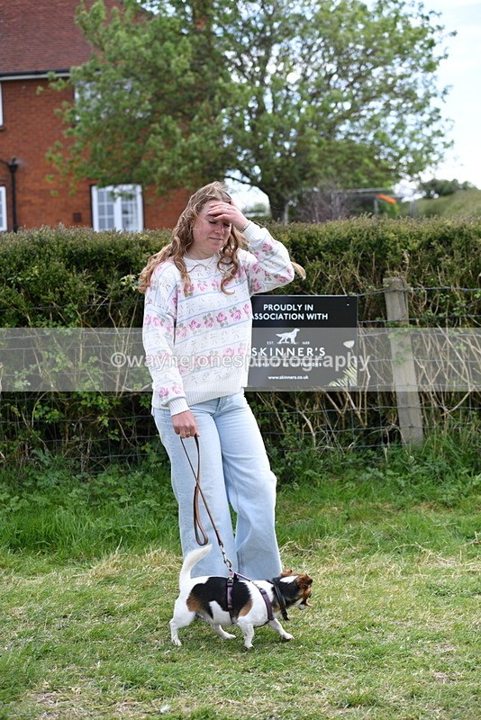 WJ5_0285 - Class 7 Best Terrier