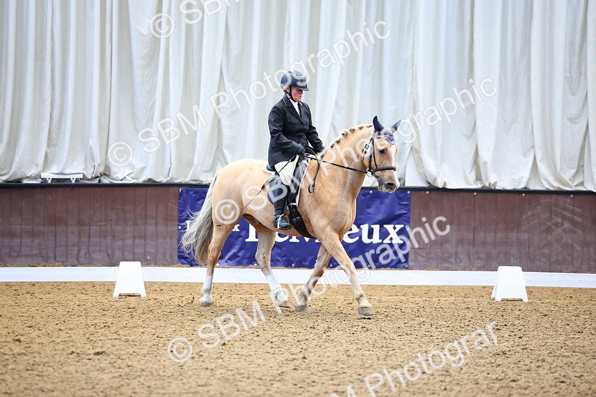 SBM_003649 - Class 11 - Prelim 5