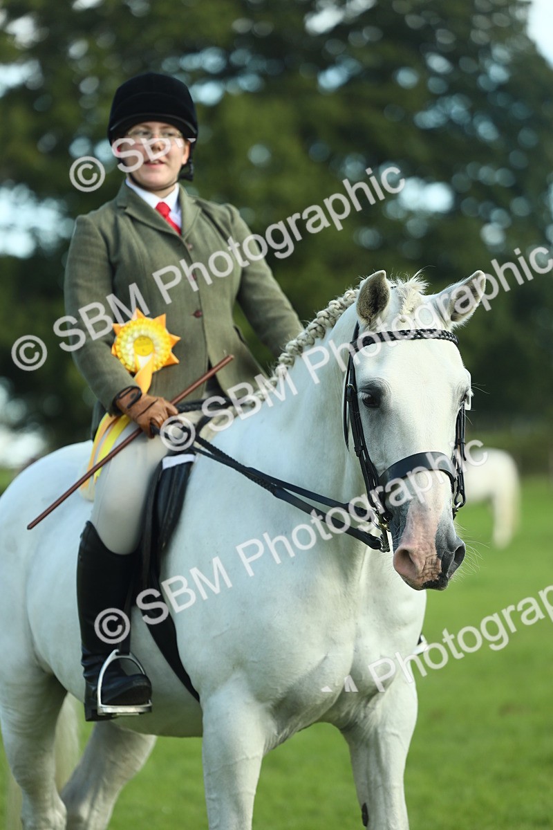 SBM_49943 - S32 - Novice & Newcomers Working Hunter