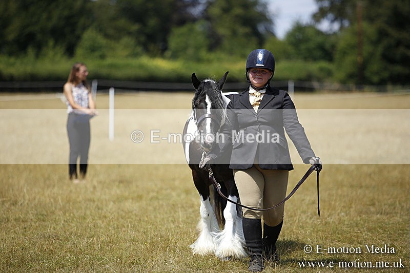 _C7A0014 - BVRC Sow 2018 Ring 2