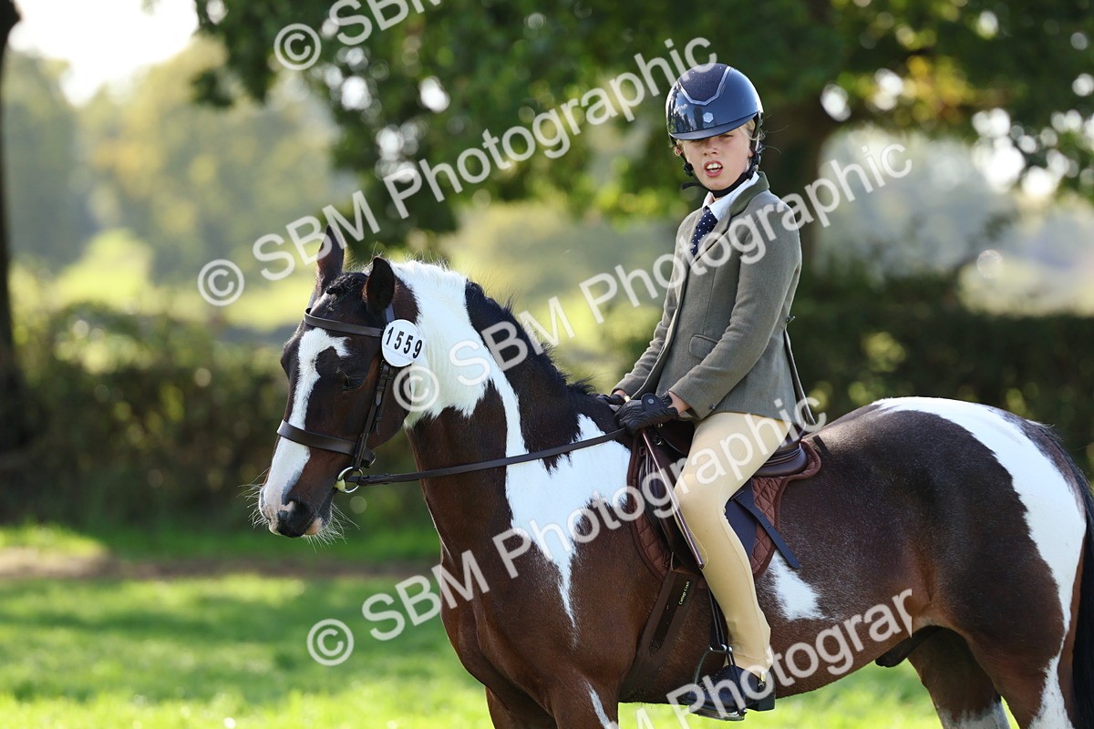 SBM_45278 - S27 - Young Veteran Ridden