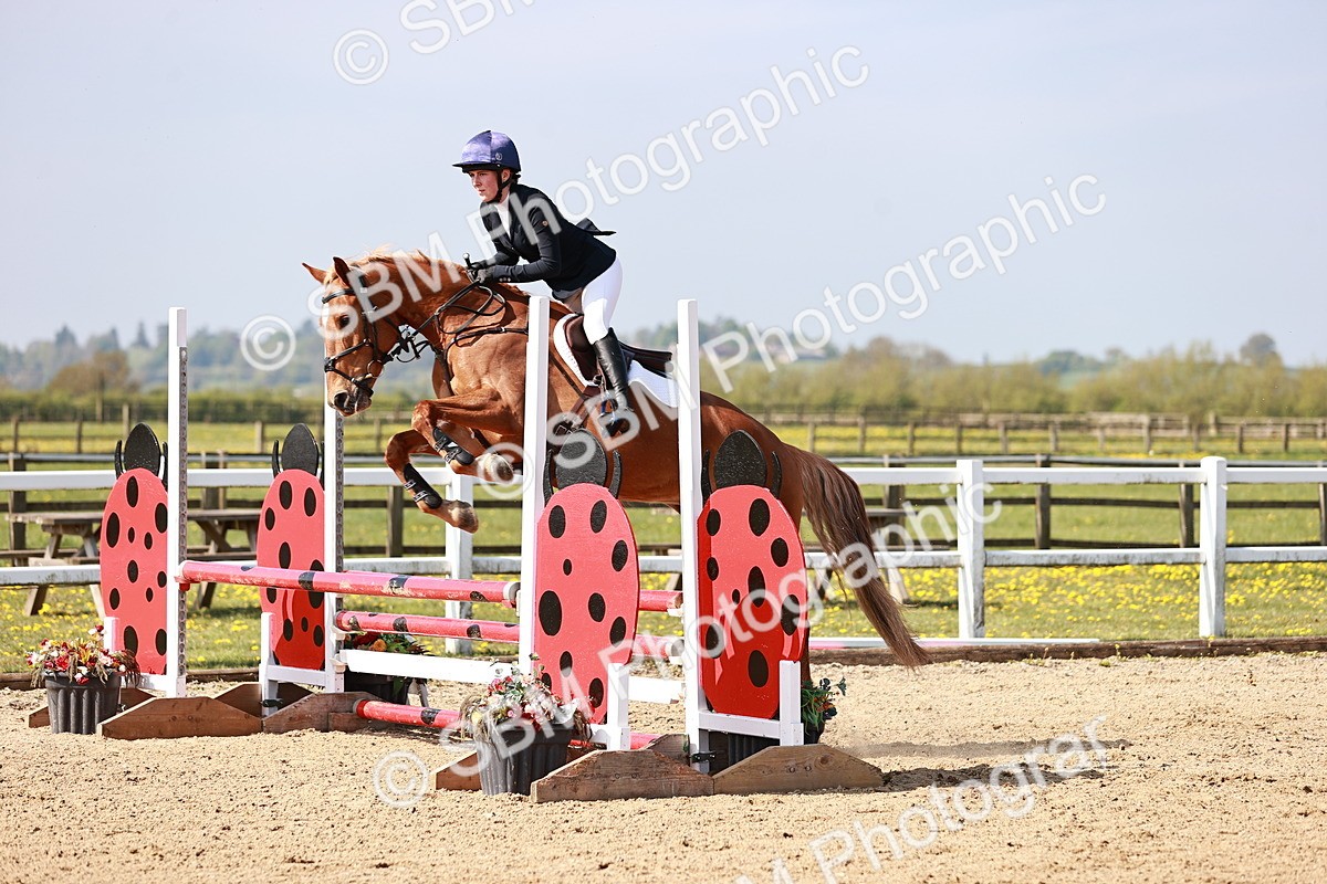  - Class 21 - Senior British Novice - 90cm