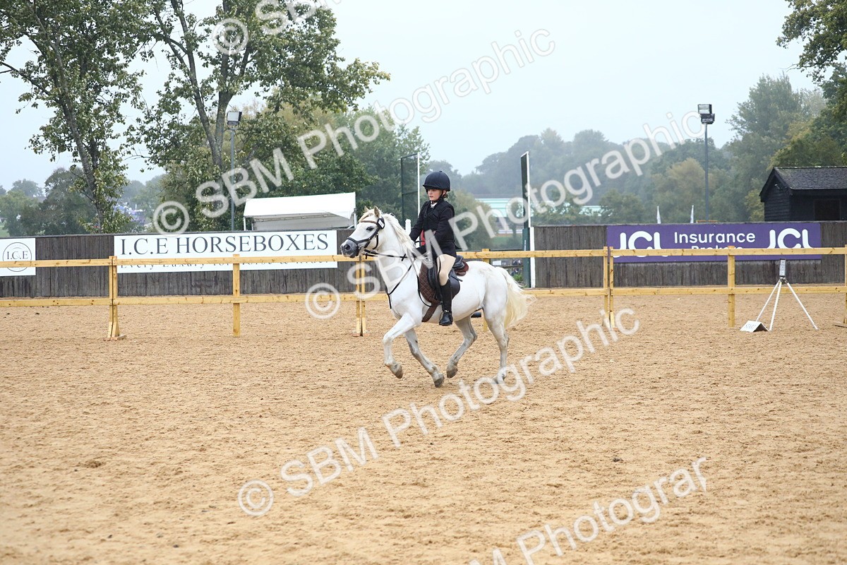SBM_71677 - J4 - Mini Tour Junior Pony 45cm Championship