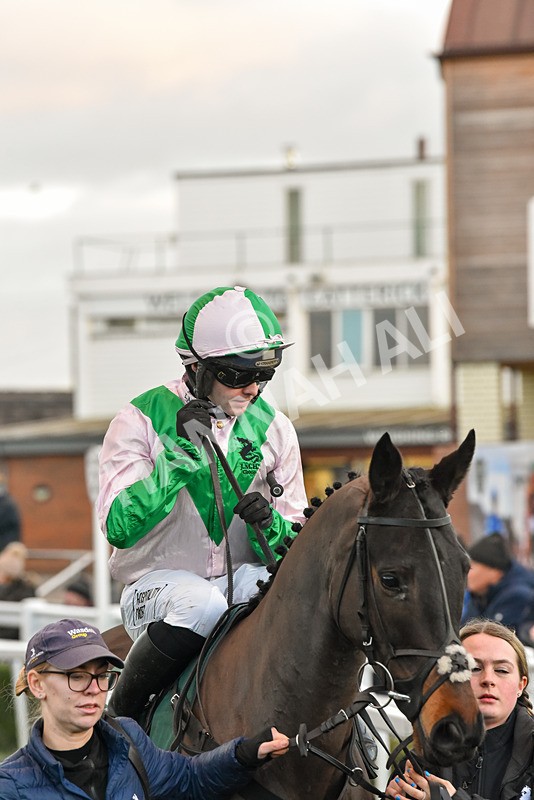 191223-Race 7-Wilful-9534 - Race 7